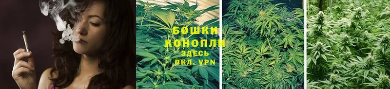 Канабис SATIVA & INDICA  Фокино 